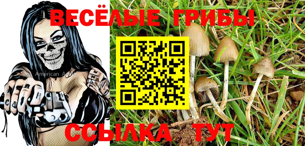 Псилоцибиновые грибы Psilocybine cubensis  Вход с VPN  цены наркотик  Фурманов 